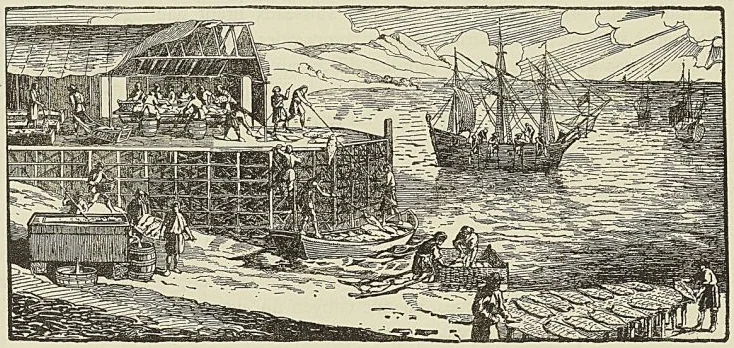 SÉCHAGE DE LA MORUE SUR L’ÉCHAFAUD, d’après une carte de 1698, par de Fer