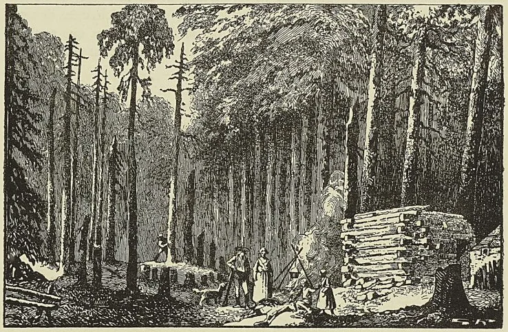 HUTTE DE COLONS CANADIENS AU DÉBUT DE LA COLONISATION, cabinet des estampes