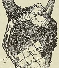 MASQUE DE CHASSE DES INDIGÈNES LOUISIANAIS