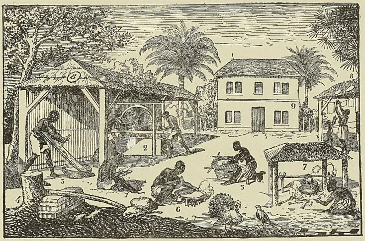 LE MANIOC