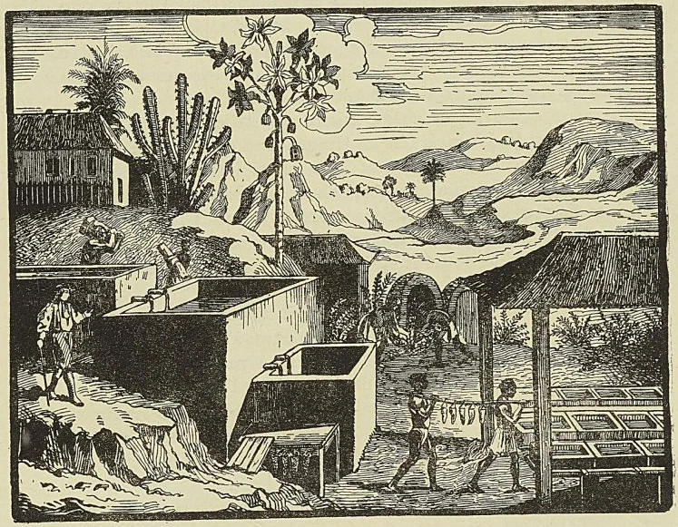 Illustration de l'ouvrage, page 451