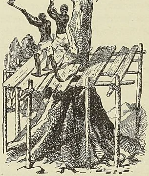 Illustration de l'ouvrage, page 488