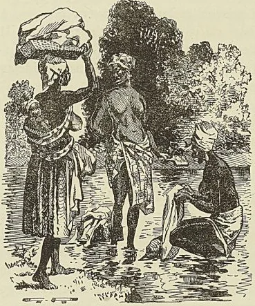 Illustration de l'ouvrage, page 576