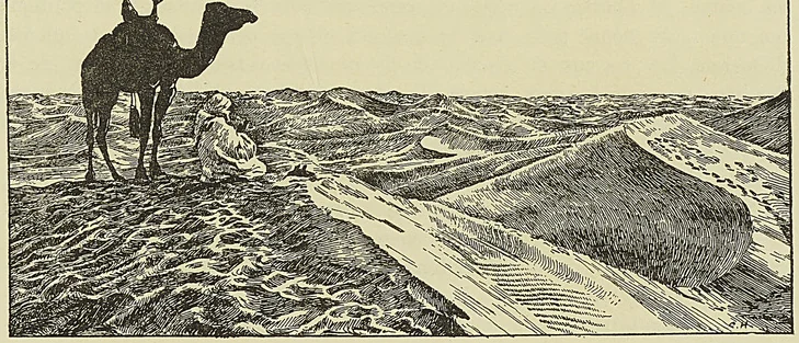 LES DUNES DU SAHARA
