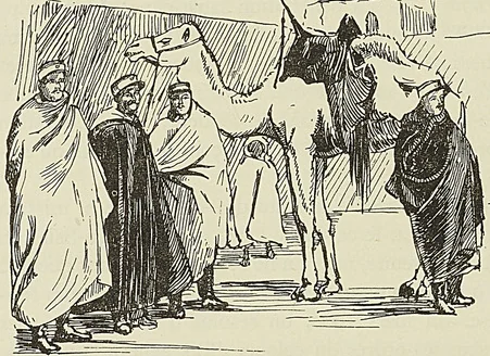 OFFICIERS ET SOUS-OFFICIERS MÉHARISTES