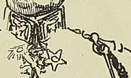 Illustration de l'ouvrage, page 325