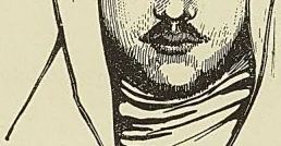 Illustration de l'ouvrage, page 332