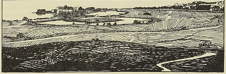 CARTHAGE : EMPLACEMENT OCCUPÉ PAR L’ARMÉE DE SAINT LOUIS