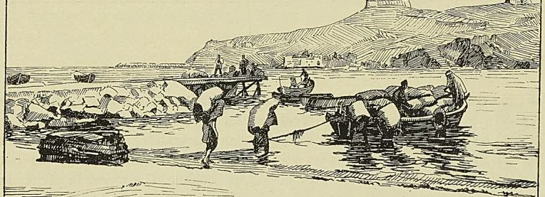 L’îLE DE TABARKA, frontispice
