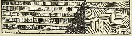 Illustration de l'ouvrage, page 413