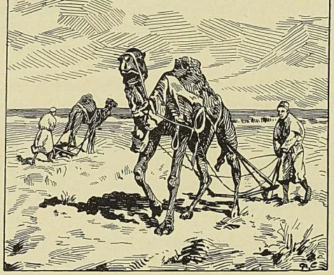 Illustration de l'ouvrage, page 436