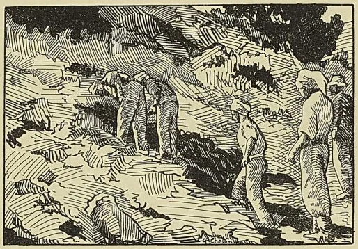 Illustration de l'ouvrage, page 443