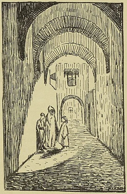 Illustration de l'ouvrage, page 501