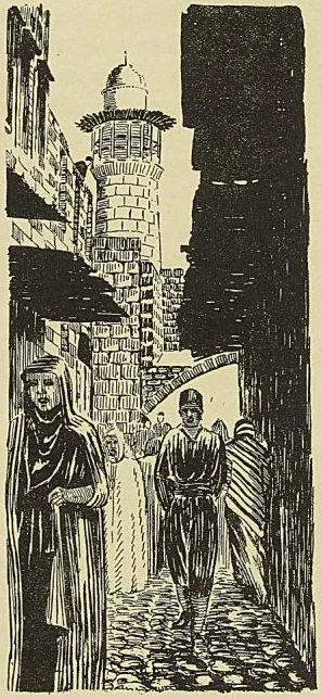 Illustration de l'ouvrage, page 509