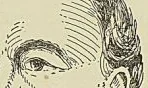 BouiT-WILLAUMEZ, d’après une lithographie