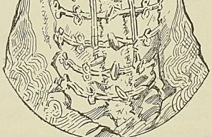 Illustration de l'ouvrage, page 126