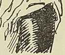 Illustration de l'ouvrage, page 137