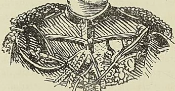Illustration de l'ouvrage, page 207