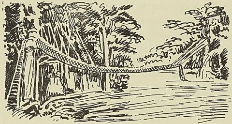 PONT DE LIANES SUR LE CAVALLY, document de la mission Hostains d’Ollone