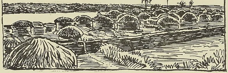 Illustration de l'ouvrage, page 441