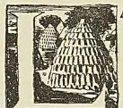 Illustration de l'ouvrage, page 500