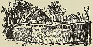 Illustration de l'ouvrage, page 513