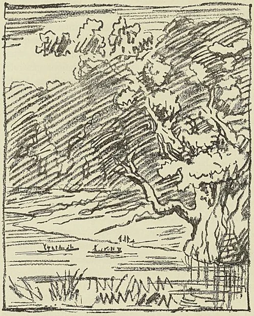 PLAGE DE LIRANGA, d’après un croquis de Ch. Castellani CASES, RÉGION DU LOGONE OUEST. •