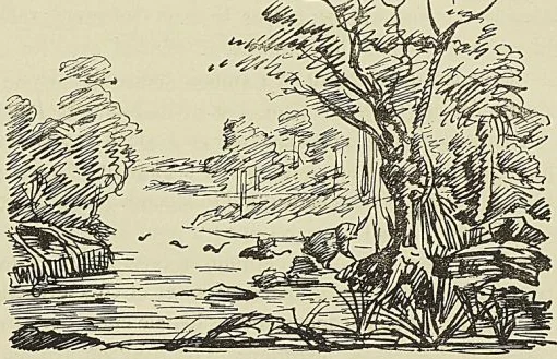 Illustration de l'ouvrage, page 533
