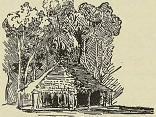 Illustration de l'ouvrage, page 564