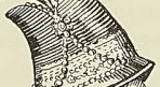 (E. Courtot.)