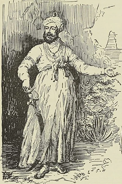 MAHAMET ALl, d’après un tableau de Ward. (Mme G. Hanotaux.)