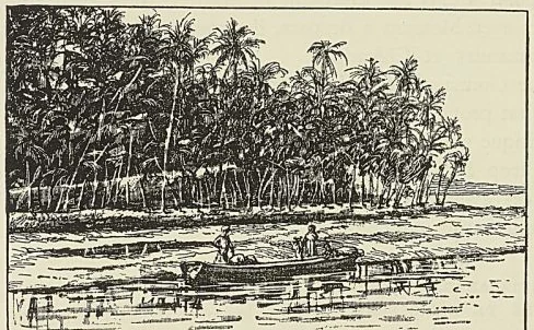 CÔTE MALABAR : RIVIÈRE DE MAHÉ. (E. Courtot.)