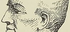 LALLY-TOLLENDAL, d’après un croquis pris lors de son exécution. (E. Courtot.)