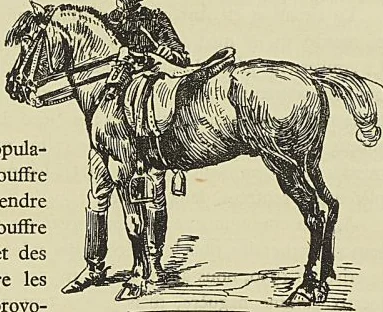 OFFICIER ET SON PETIT CHEVAL TONKINOIS