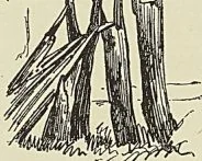 Illustration de l'ouvrage, page 116