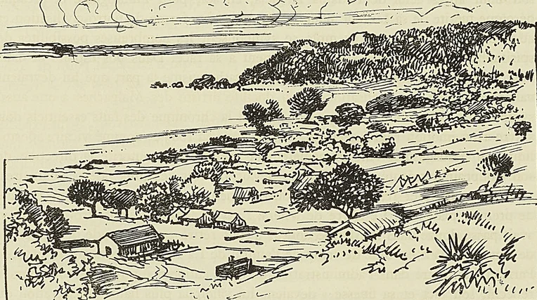 ANSE AUX TORPILLEURS