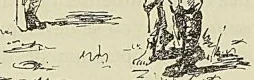 Illustration de l'ouvrage, page 203