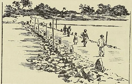 Illustration de l'ouvrage, page 246