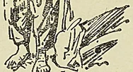 Illustration de l'ouvrage, page 270