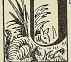 Illustration de l'ouvrage, page 327