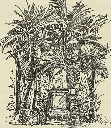 ANCIEN TOMBEAU DE PAUL ET VIRGINIE