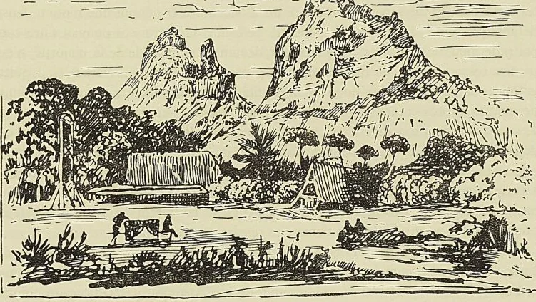 PAYSAGE MAURITIEN, d’après un dessin de Milbert, gravé par Lejeune