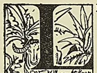 Illustration de l'ouvrage, page 385