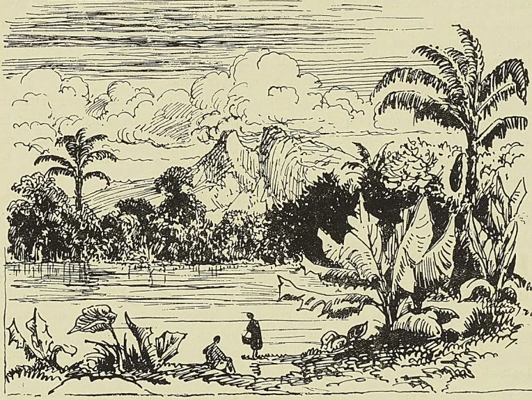 ILE MAURICE. LA GRANDE RIVIÈRE