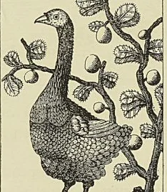 Illustration de l'ouvrage, page 409