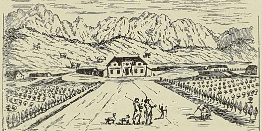 Illustration de l'ouvrage, page 511