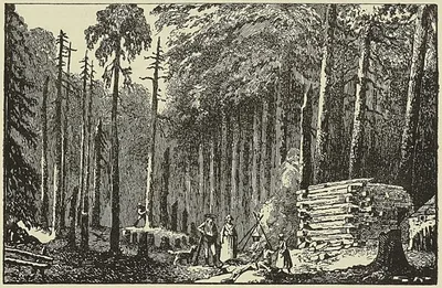 HUTTE DE COLONS CANADIENS AU DÉBUT DE LA COLONISATION, cabinet des estampes