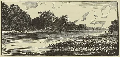 RAYON DE LA TÈCHE, NOUVELLE-ORLÉANS, frontispice