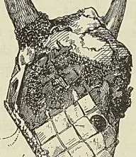 MASQUE DE CHASSE DES INDIGÈNES LOUISIANAIS