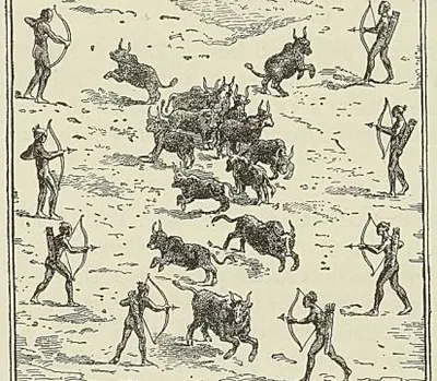 MŒURS DES NATCHEZ : CHASSE AUX BISONS, d’après une gravure du XvIlle siècle